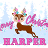 Christmas Image Options - Towel Back